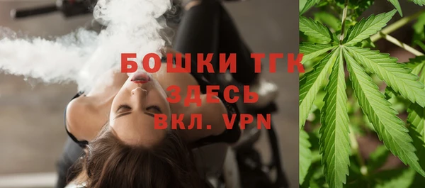 a pvp Бородино