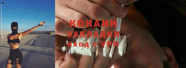 a pvp Бородино