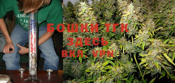 a pvp Бородино