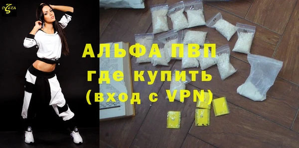 a pvp Бородино