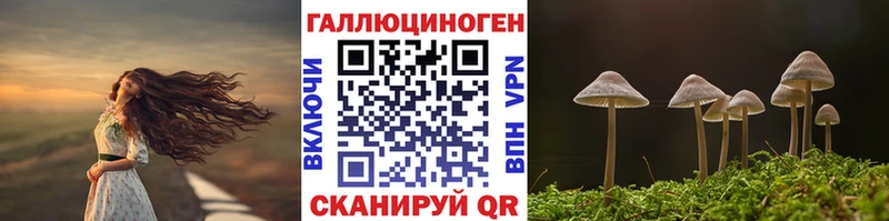 Купить  Малоярославец  Галлюциногенные грибы мухоморы 